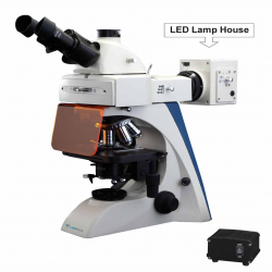 Fluorescence Microscope LFM-B10